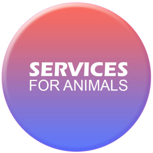 For Animals